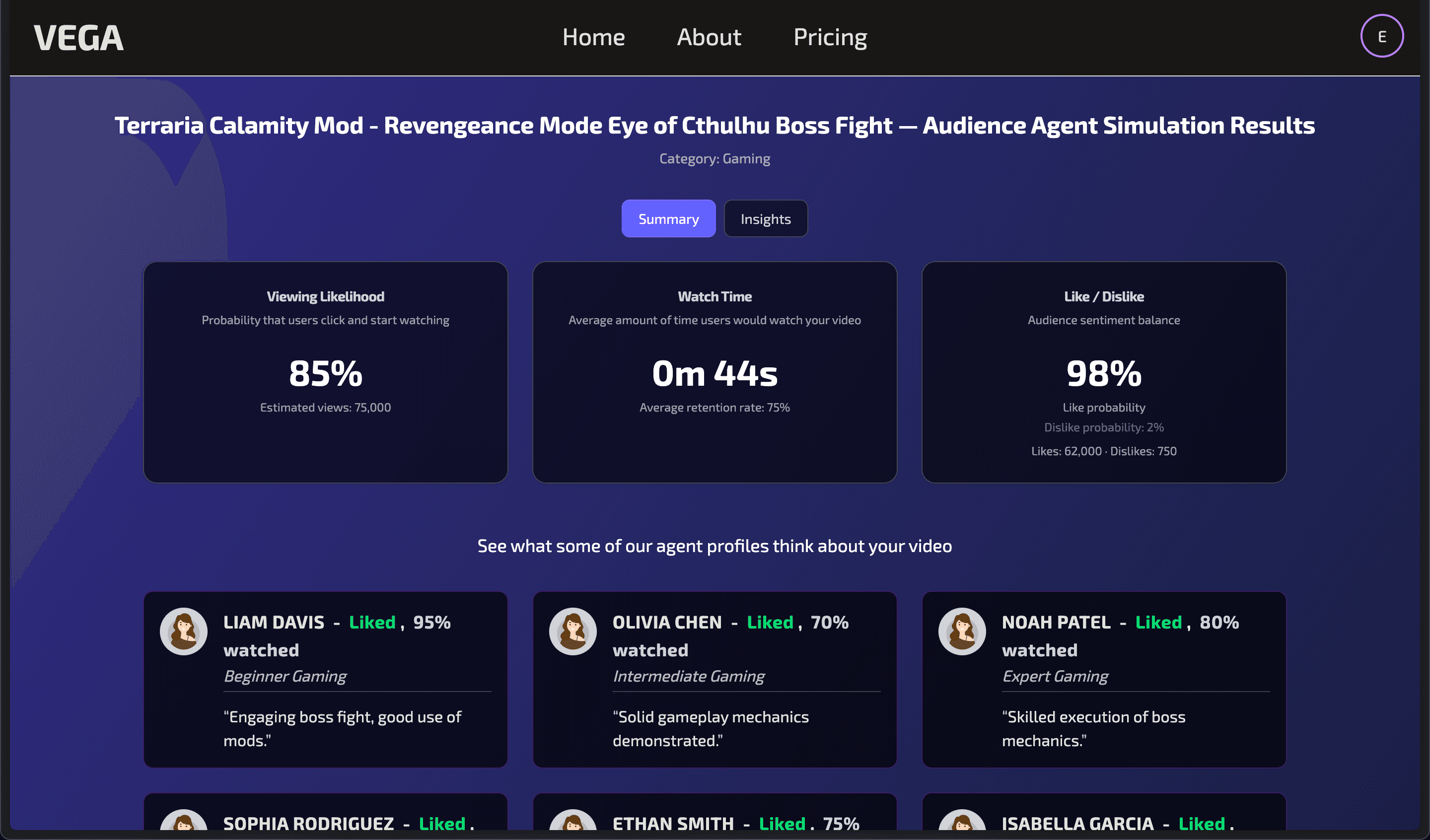 VEGA project screenshot 1